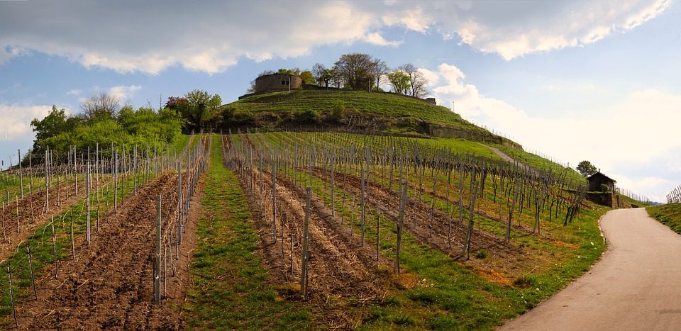 Agricole, viticole & rural